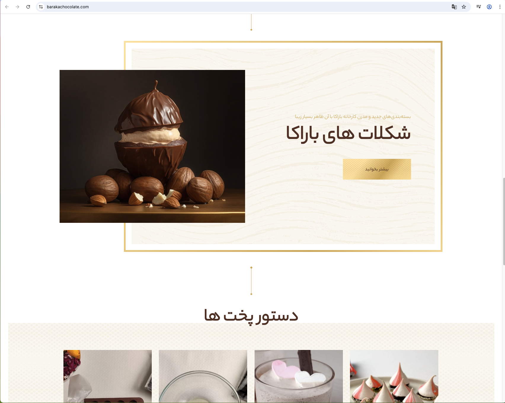 سایت شرکتی باراکا